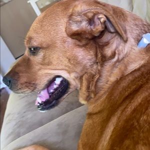 Meet your Posher, Nathaniel